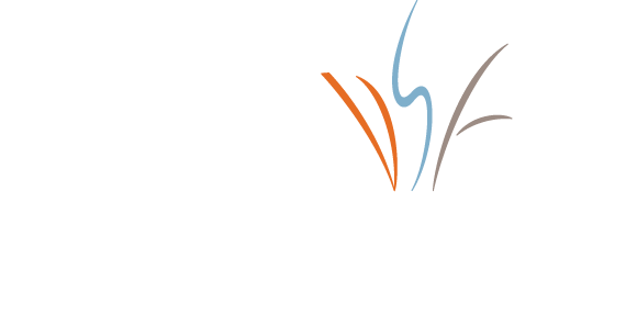 Denver Scholarship Foundation
